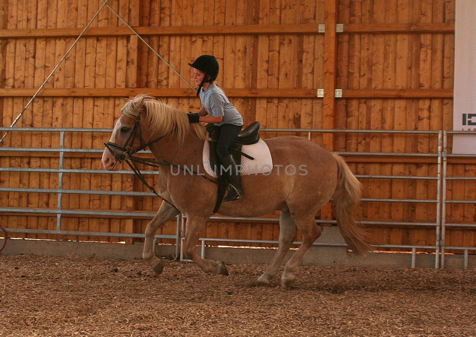Equestrian lessons