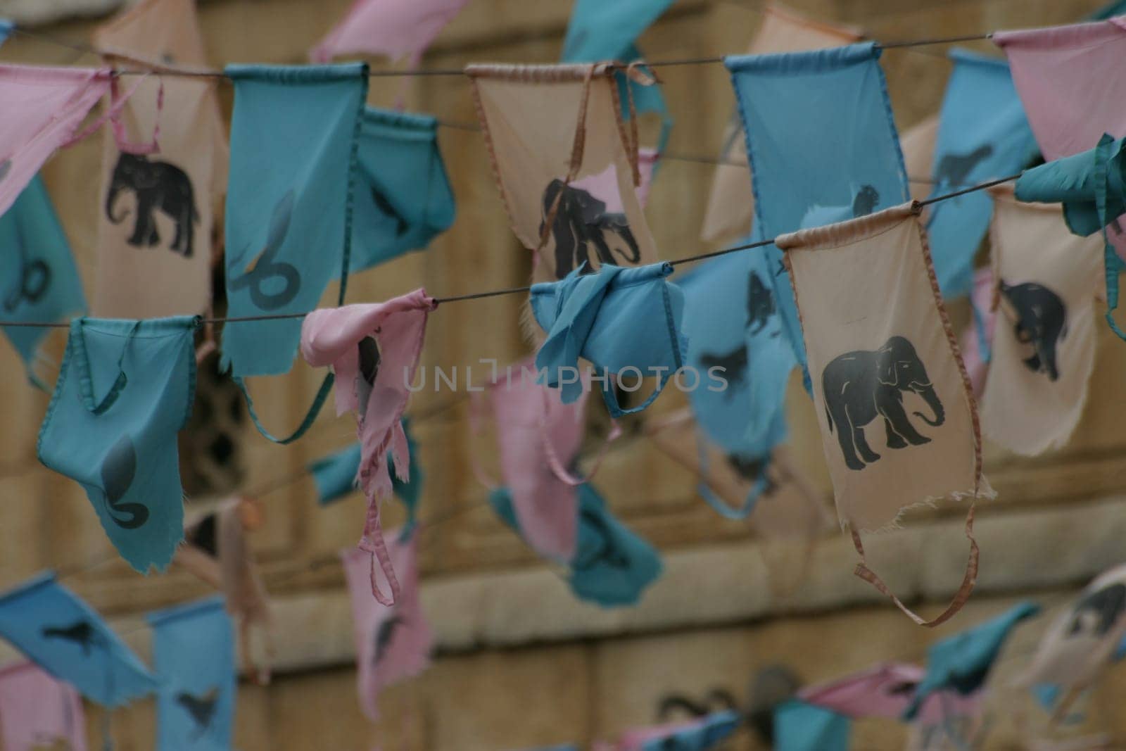 Elephant flags