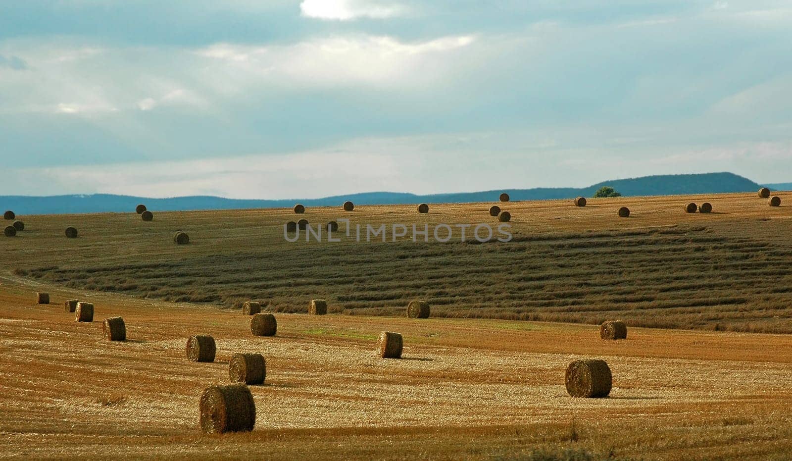Taken while driving through the Eifel.