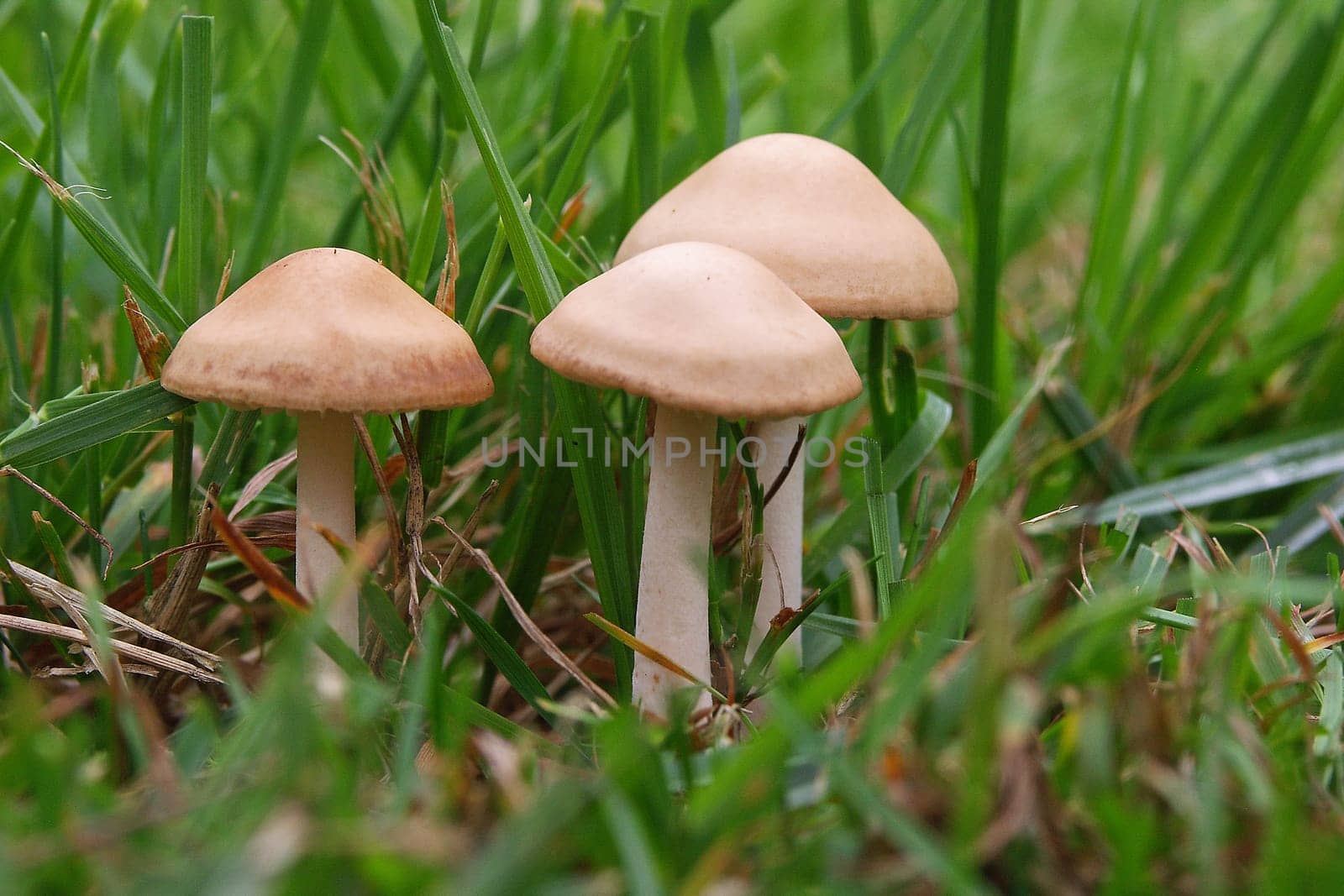 Tiny creatures