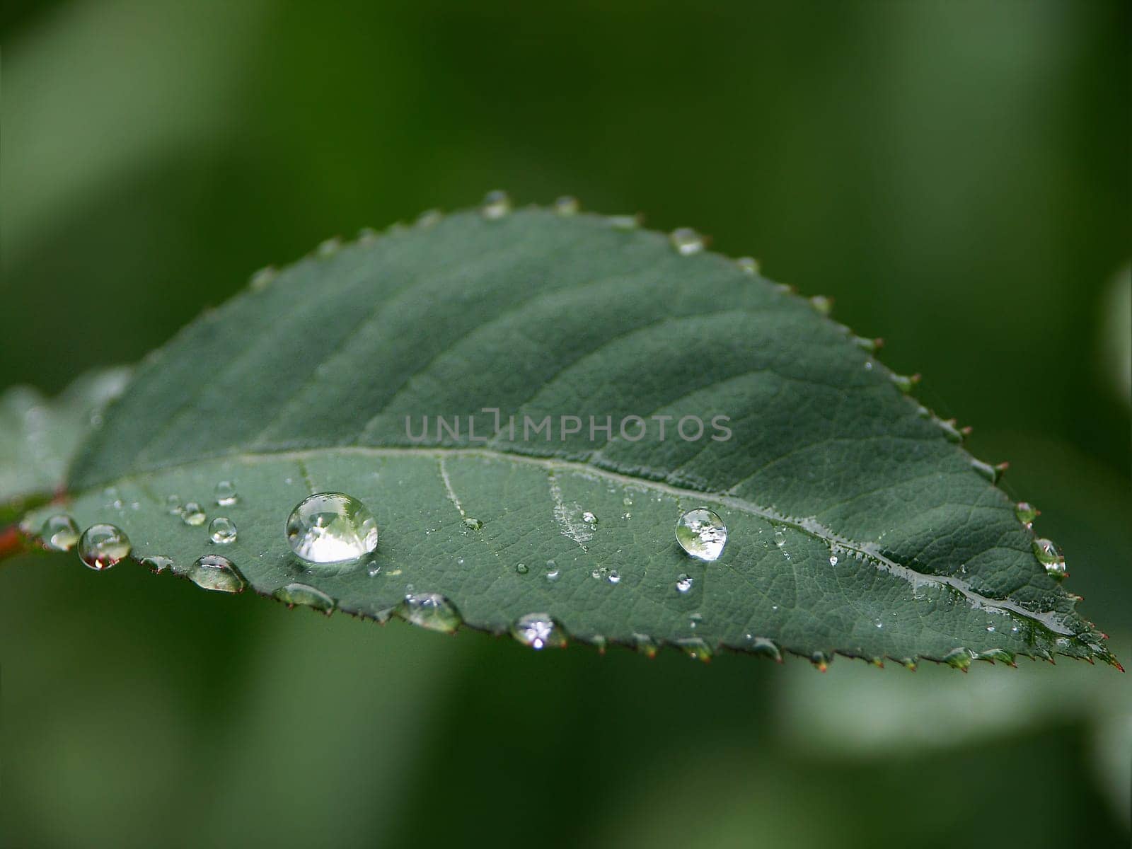 Rainy weather