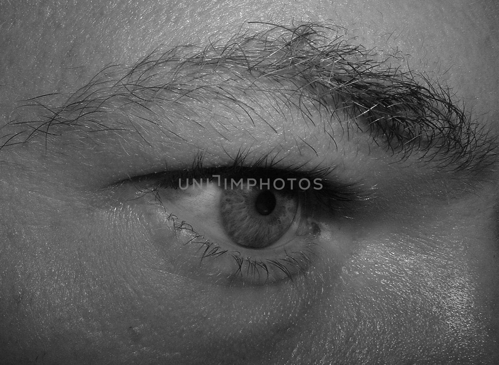 Eye-gaze