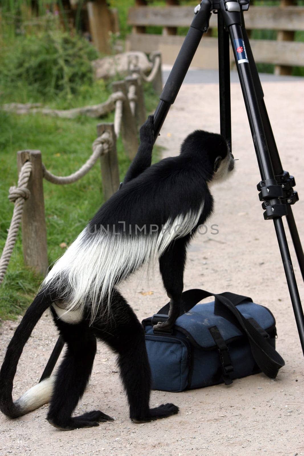 Tripod Tester