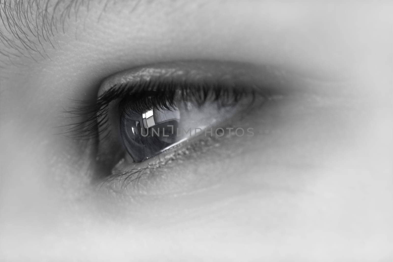Eye