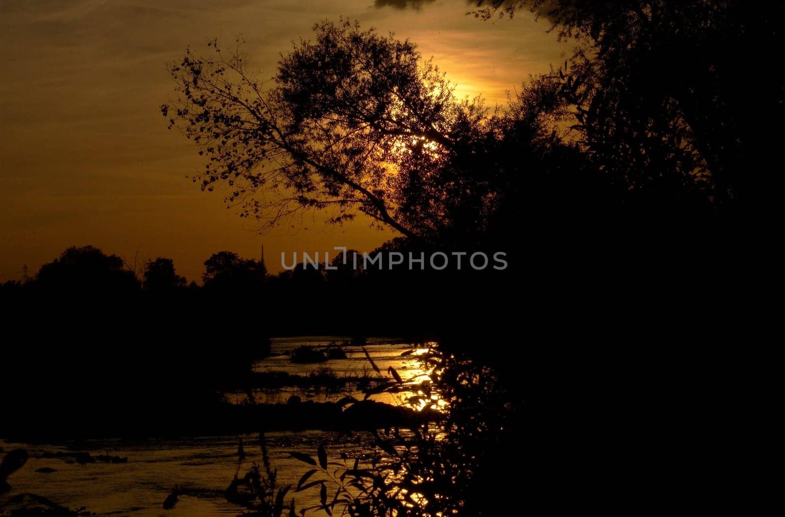 The nature reserve "Unterer Neckar"" goes to sleep and the sun lets you get into the mood again as a farewell."