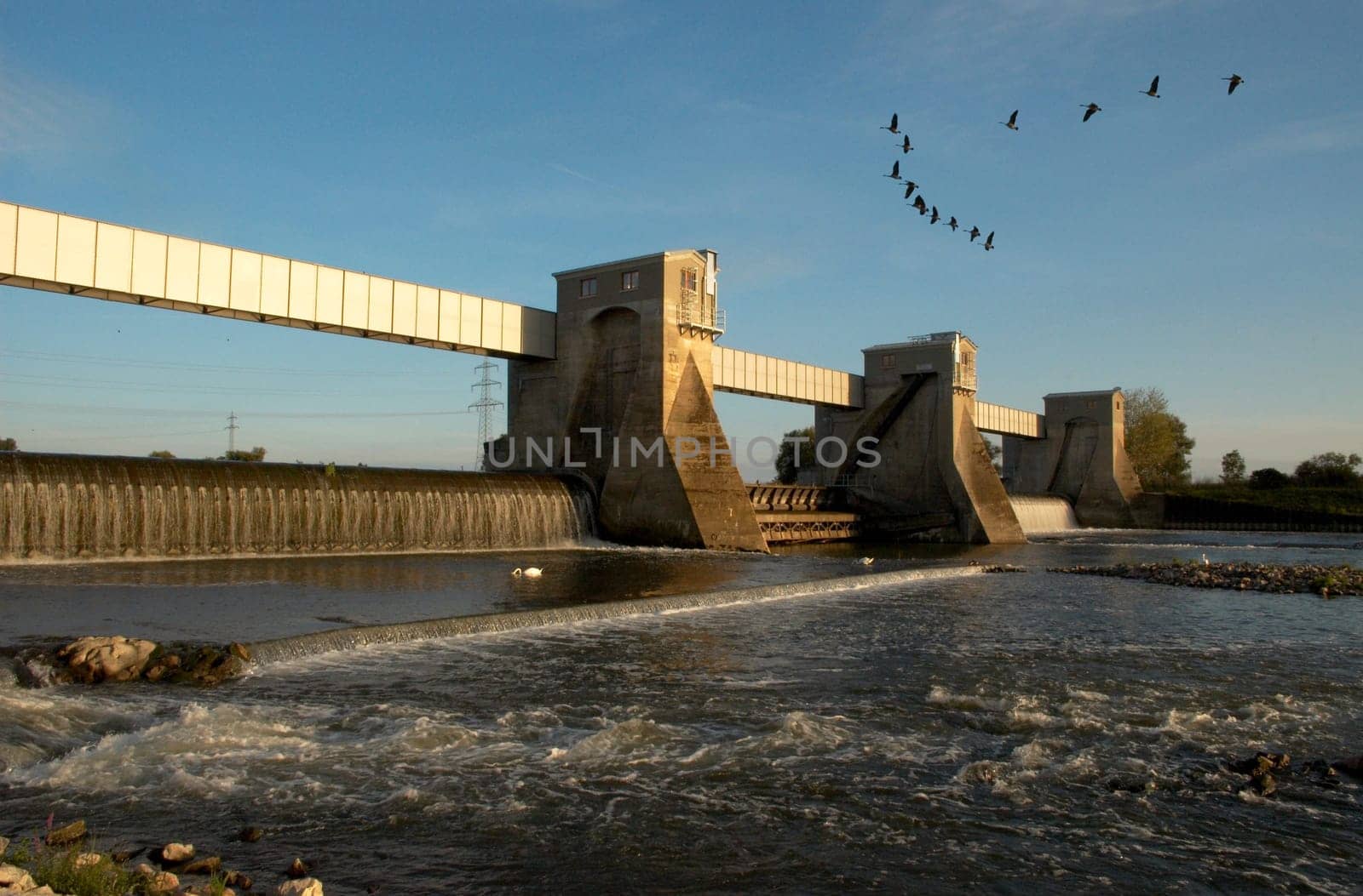 the Canada geese set off for their night quarters. This old weir separates the navigable Neckar from the Neckar Canal and the Altneckar,which is part of a very beautiful nature reserve "Lower Neckar""."