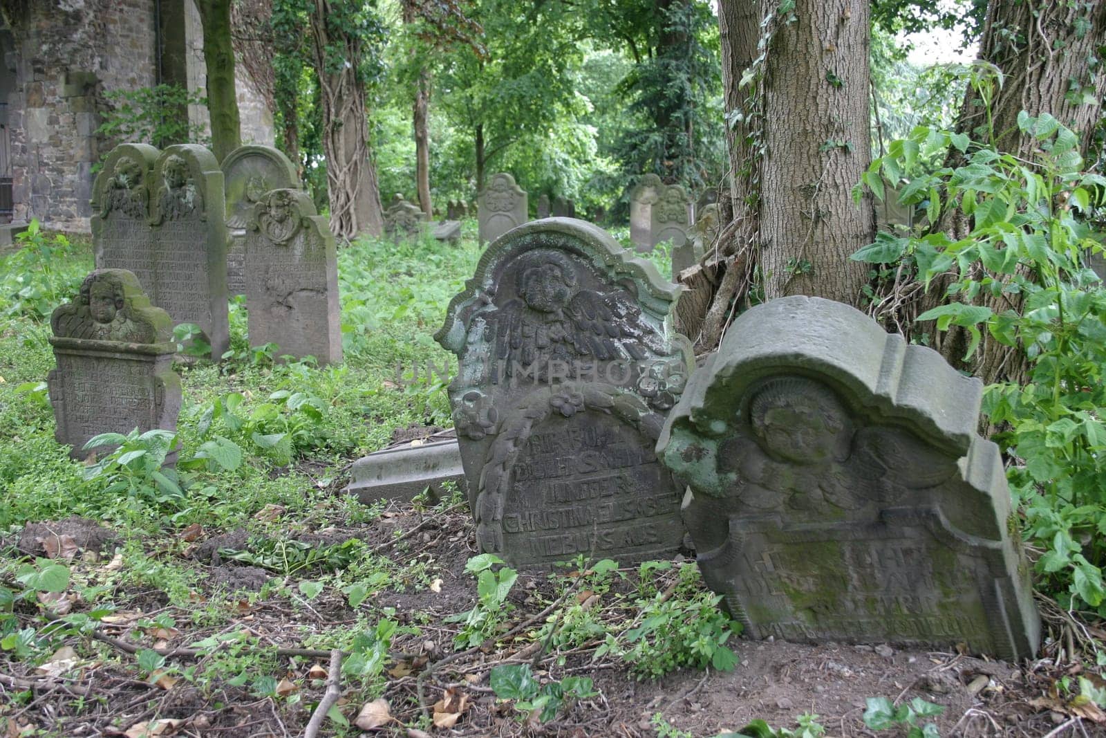 forgotten graves