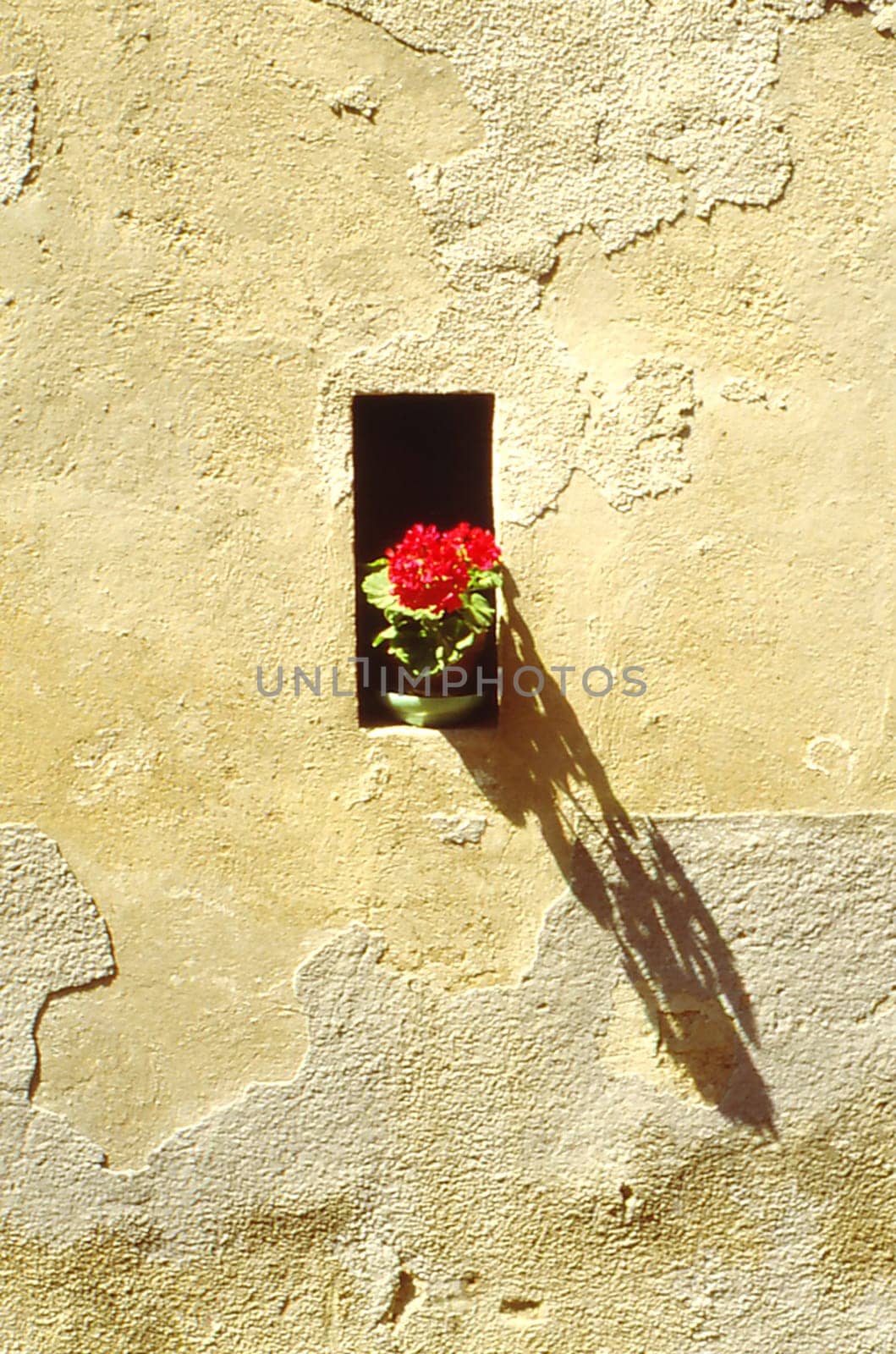 Window in Eguisheim in Alsace