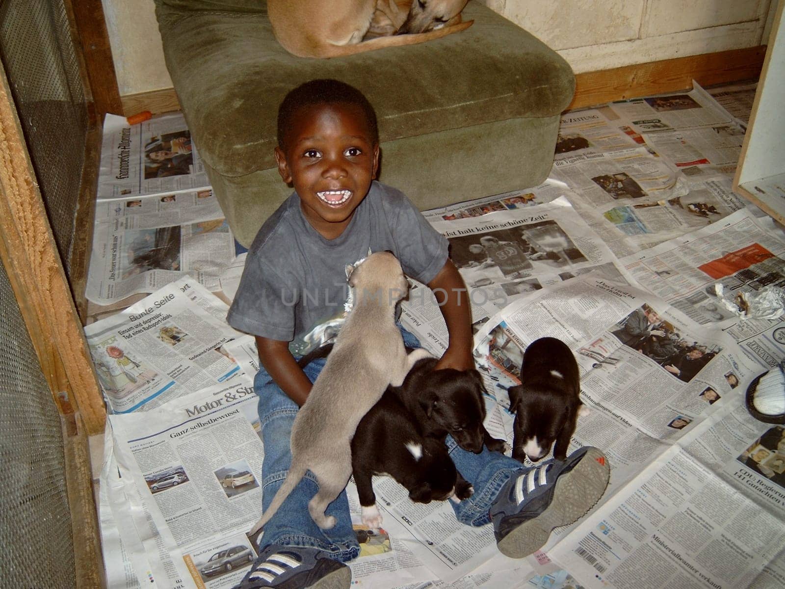 Baby dogs