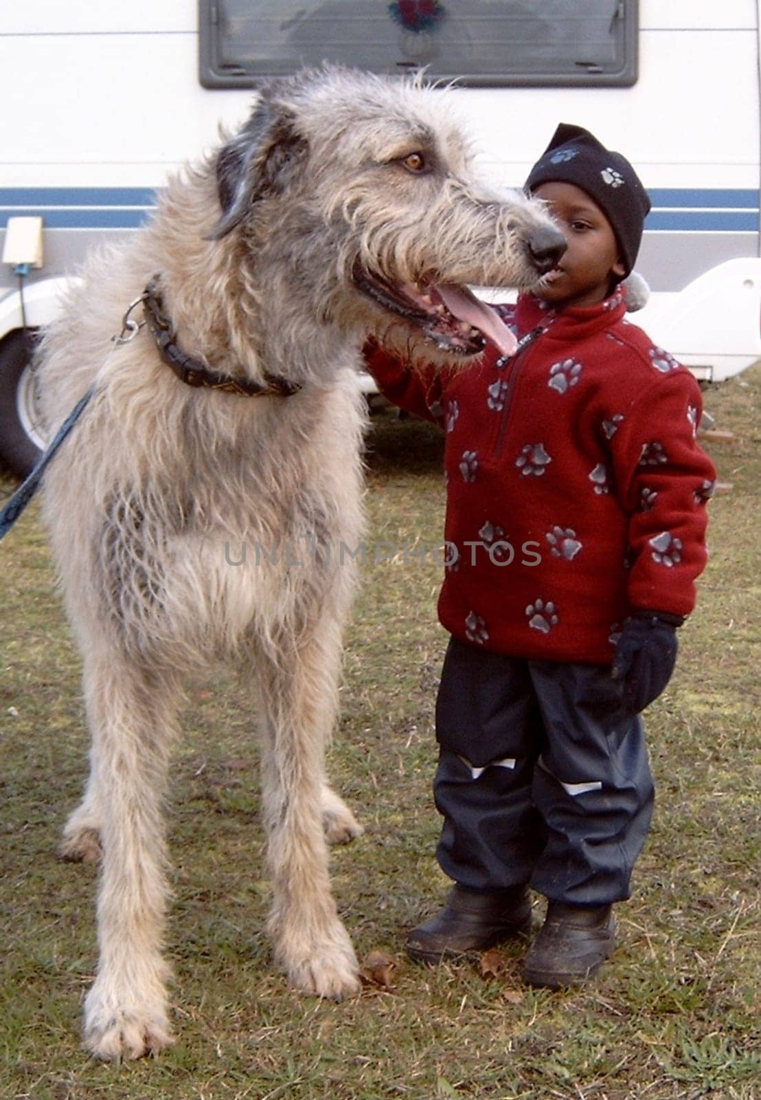 Pony rides???
