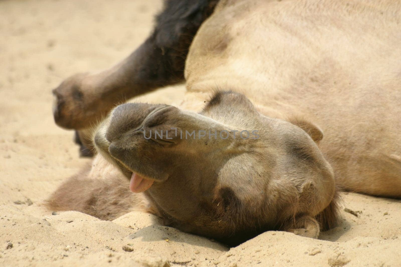 so thirsty....