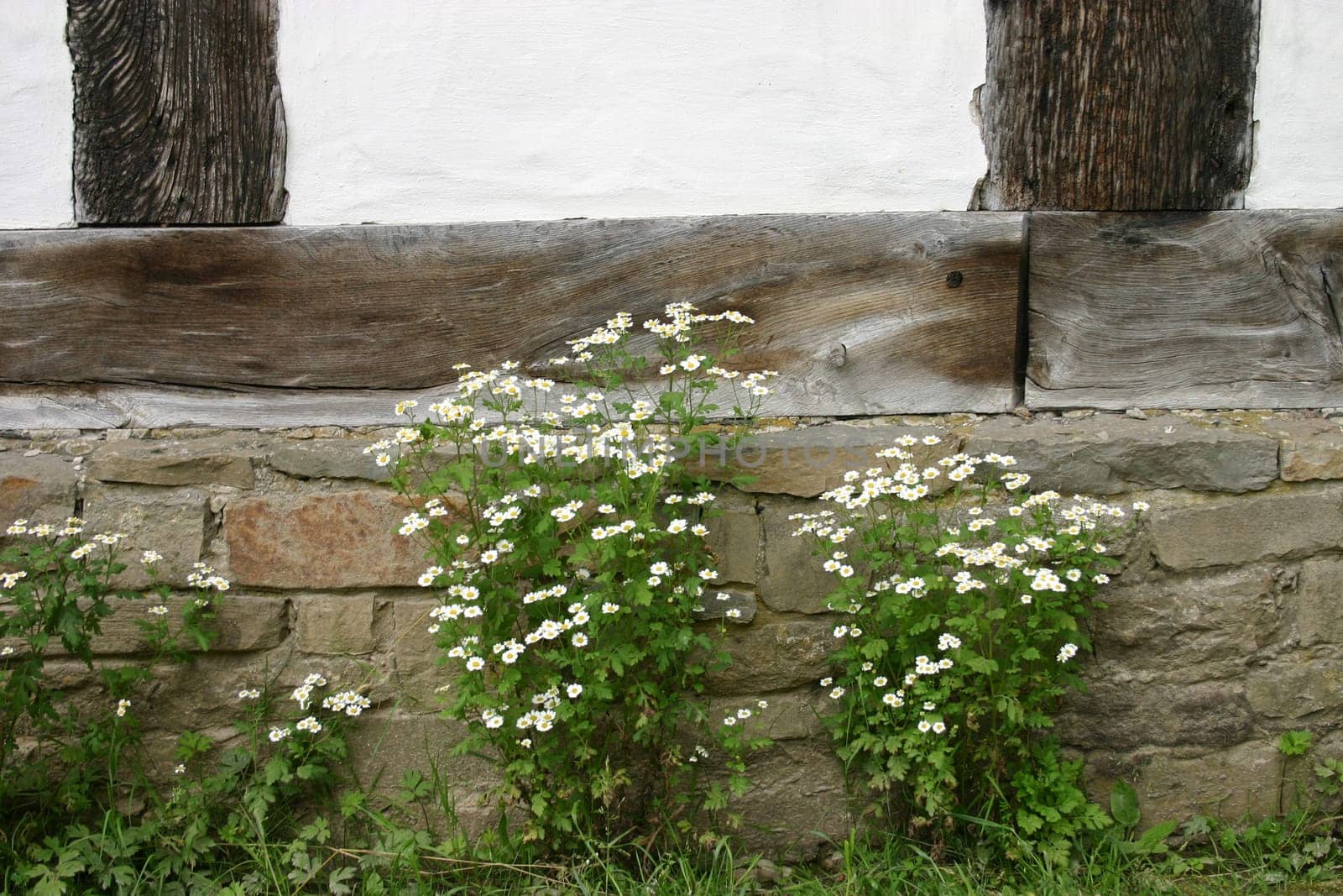 Sheltered place