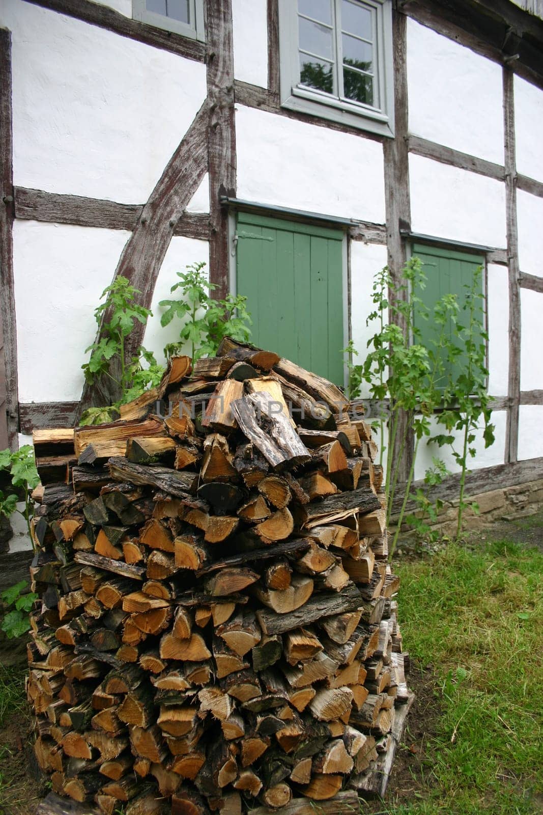 Wood stock