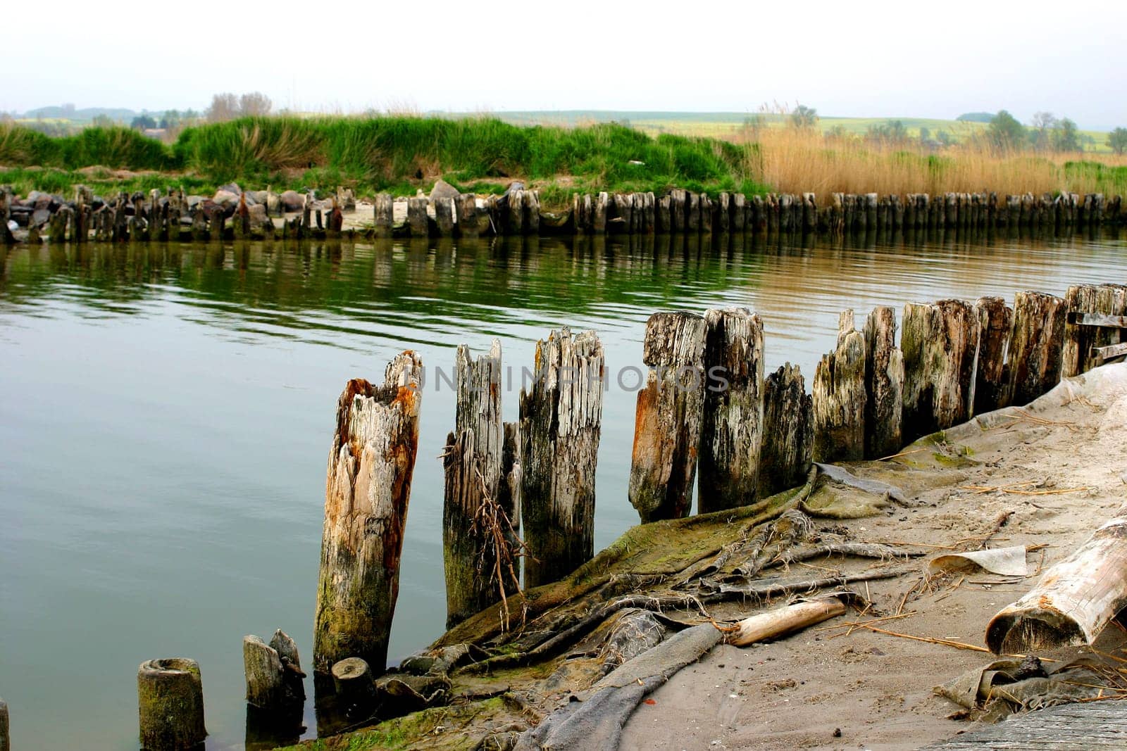 Canal at the harbor
