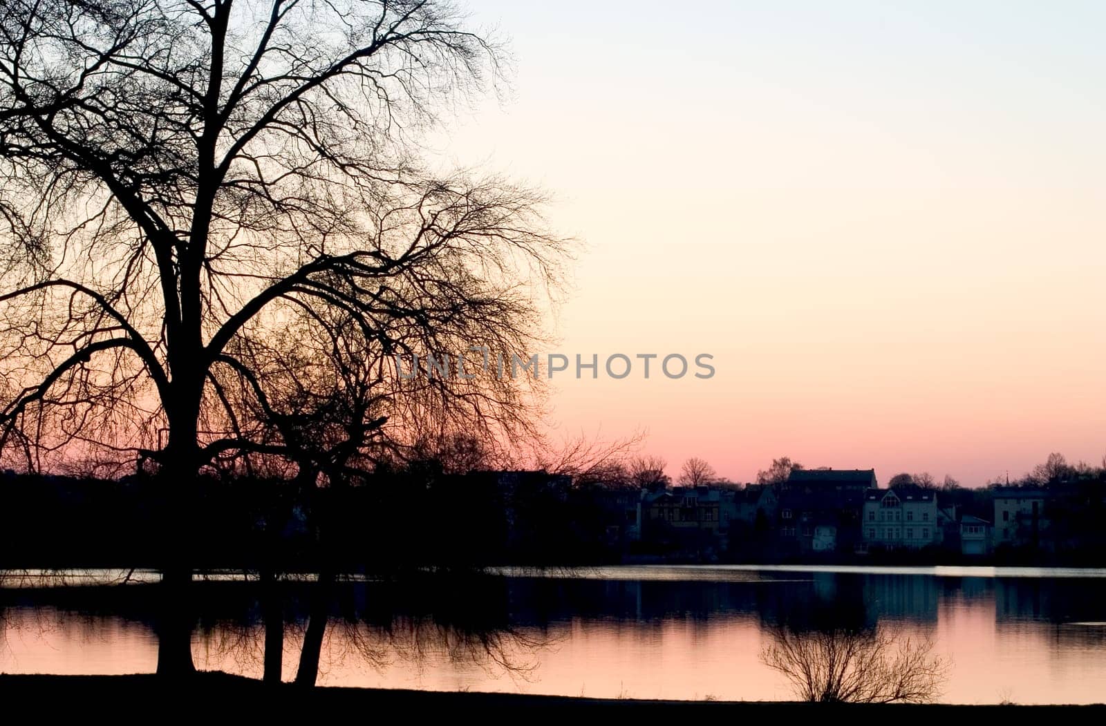 In the evening at the lake