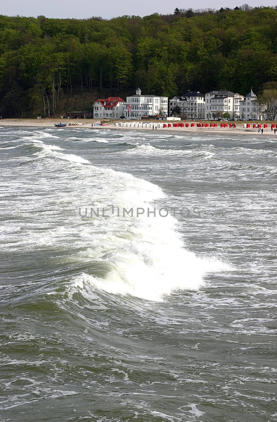 Wave