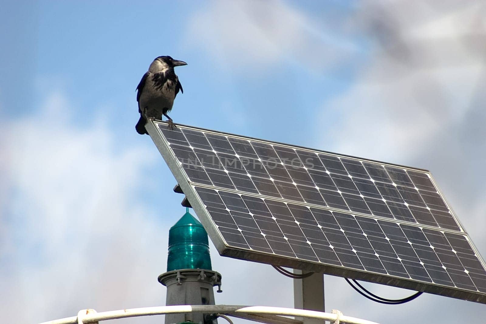 Solar cells