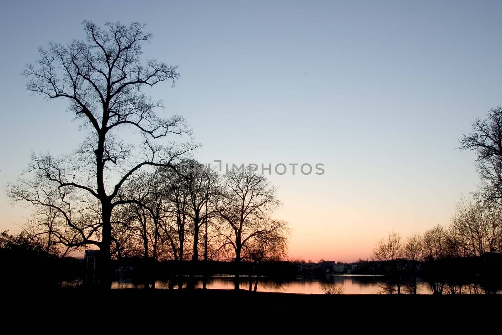 Lake in the evening
