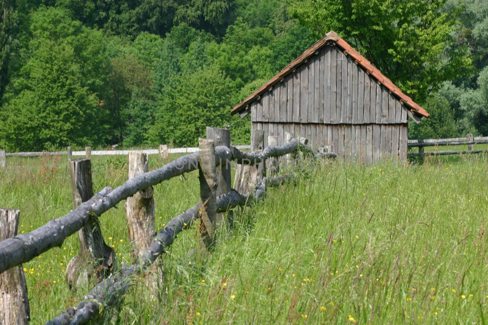 Cowshed