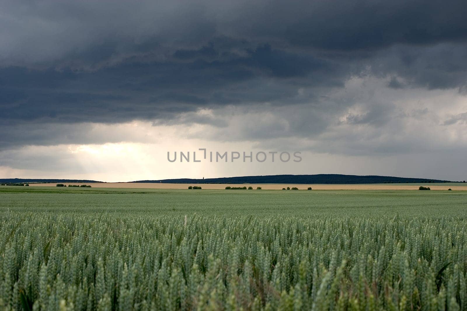 Thunderstorm Landscape 03