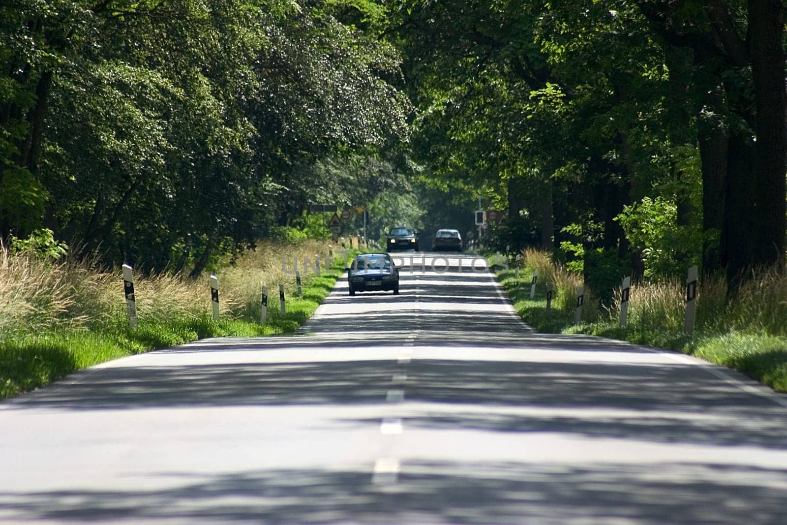 Allee 01