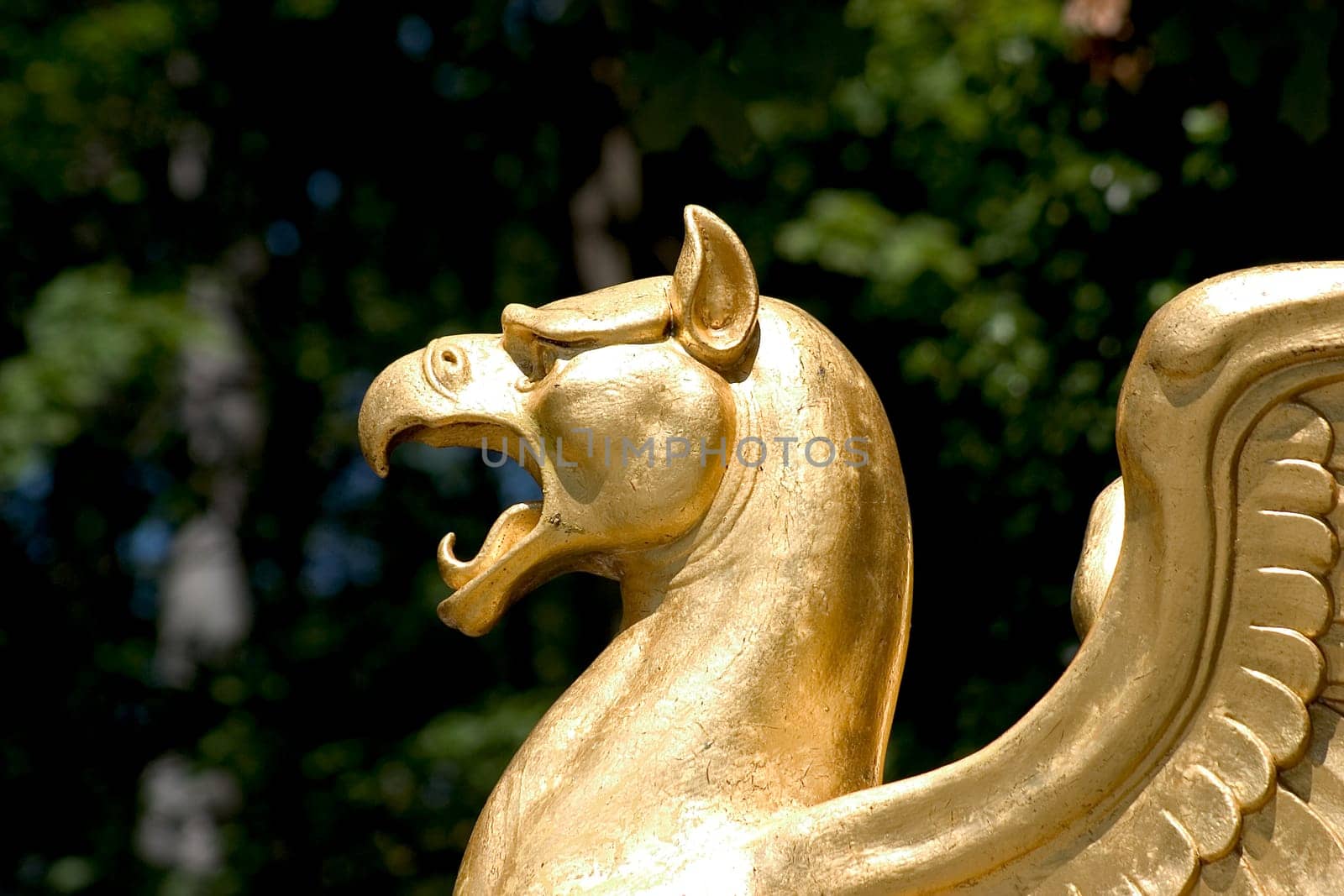 Golden Dragon 01