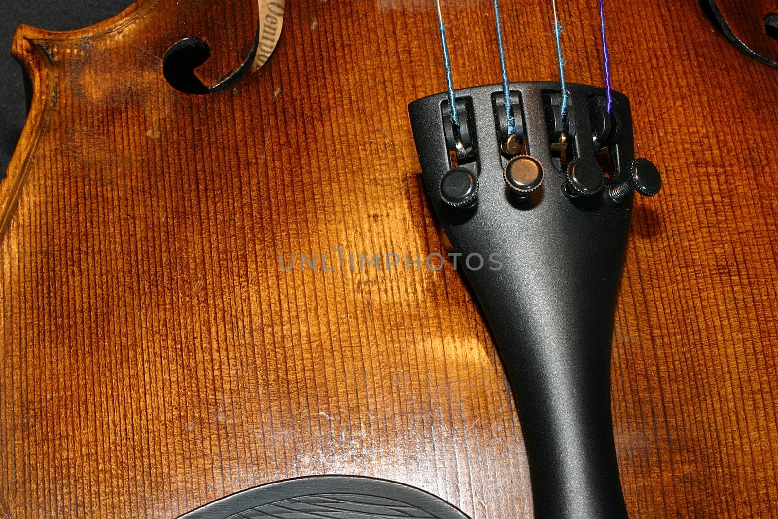 Violin 02