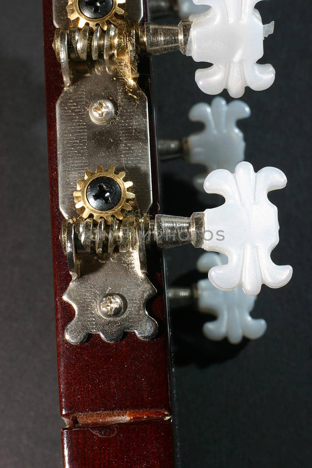Guitar pegs