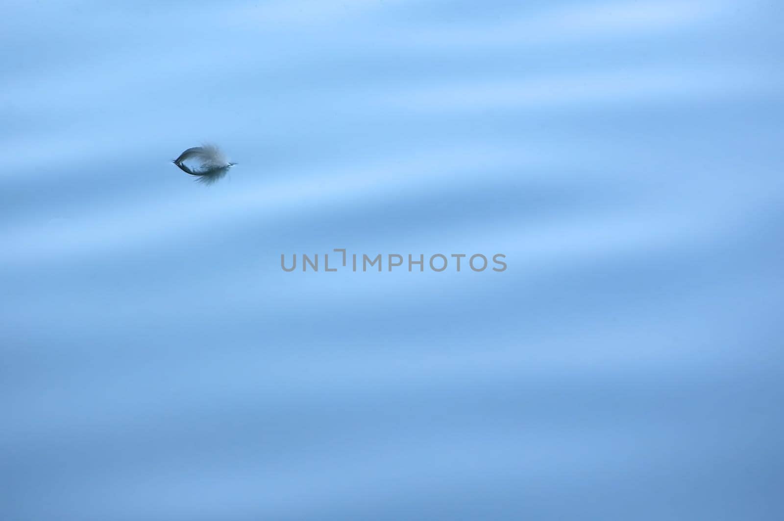The picture is almost unedited: Blue photo filter and I have reduced the section a bit. I hope you like it :o)