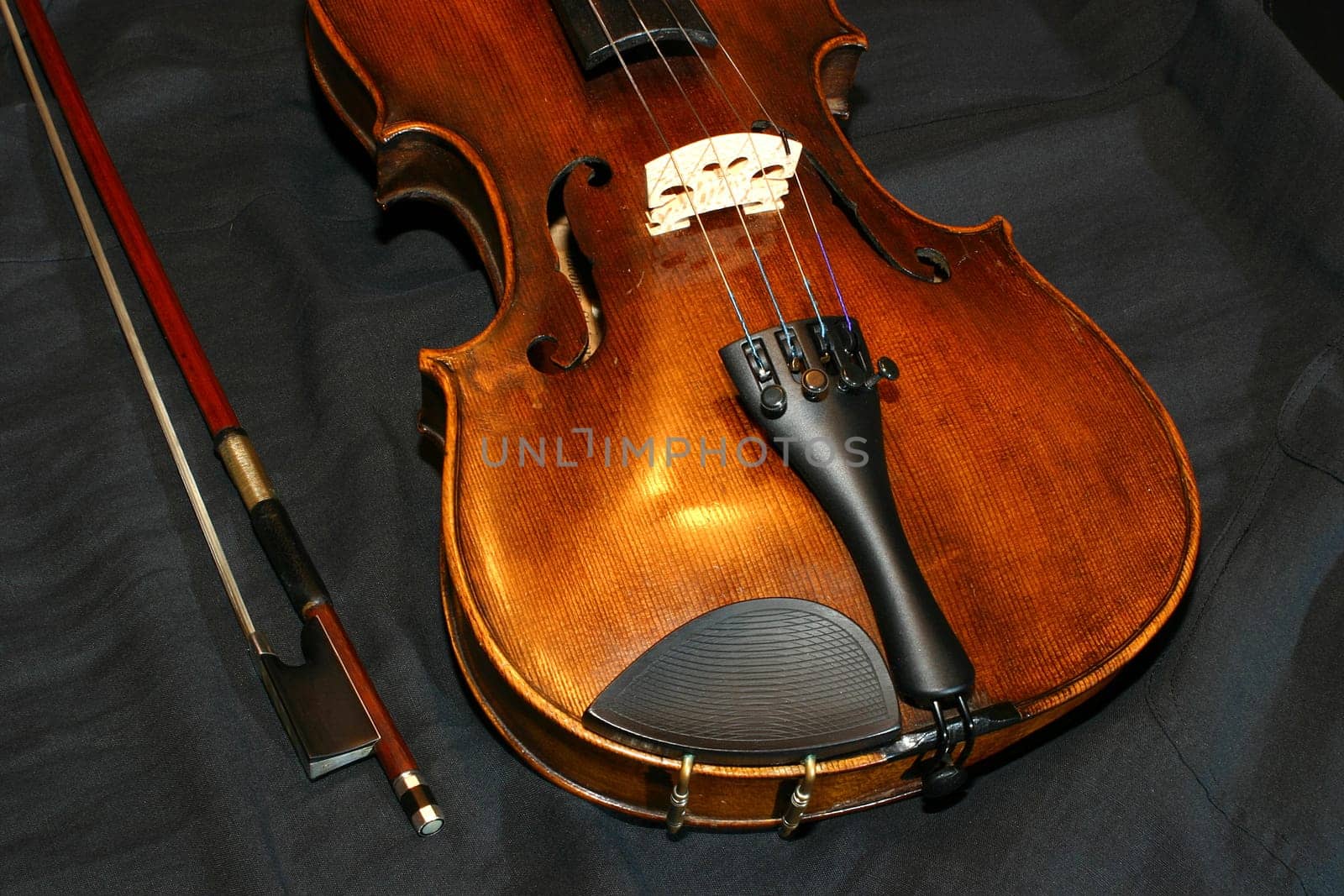 Violin 01