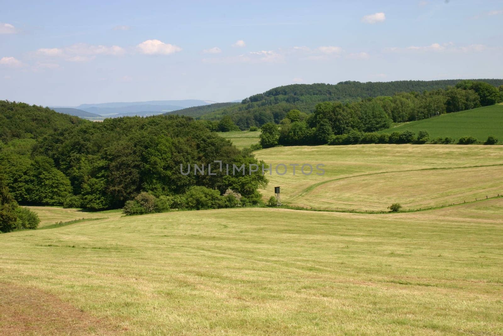 Lippe Uplands