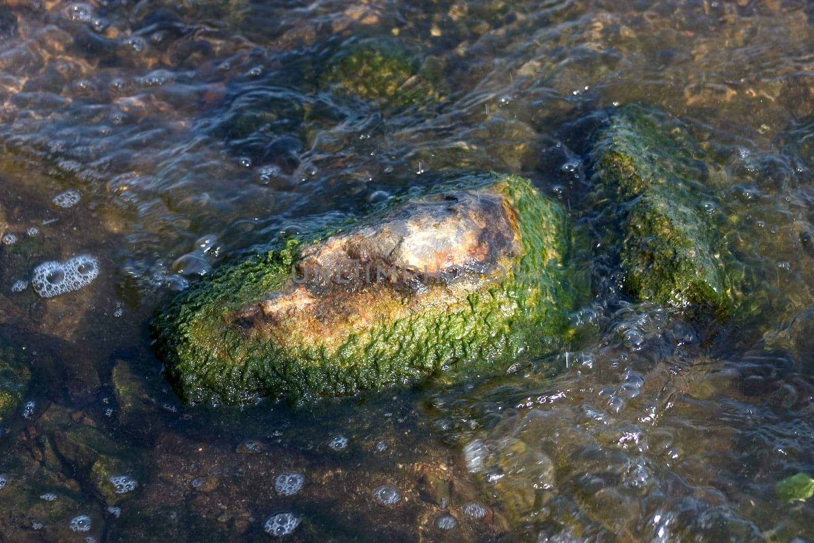 Overgrown stones 02