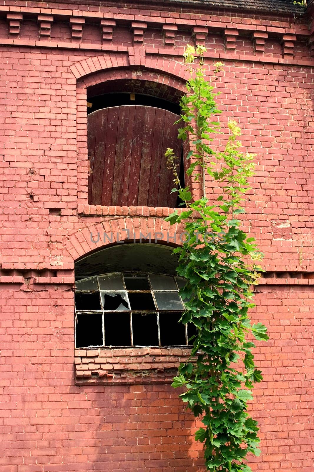 Window breakage