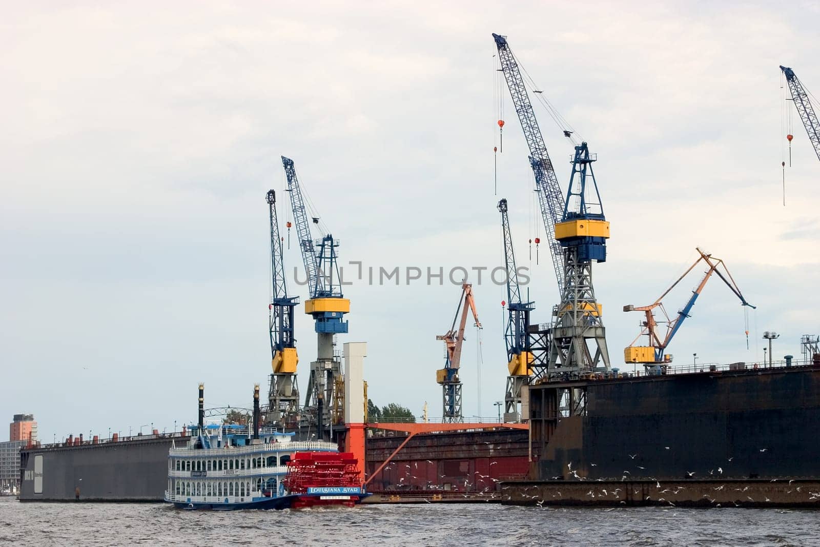 Cranes 01