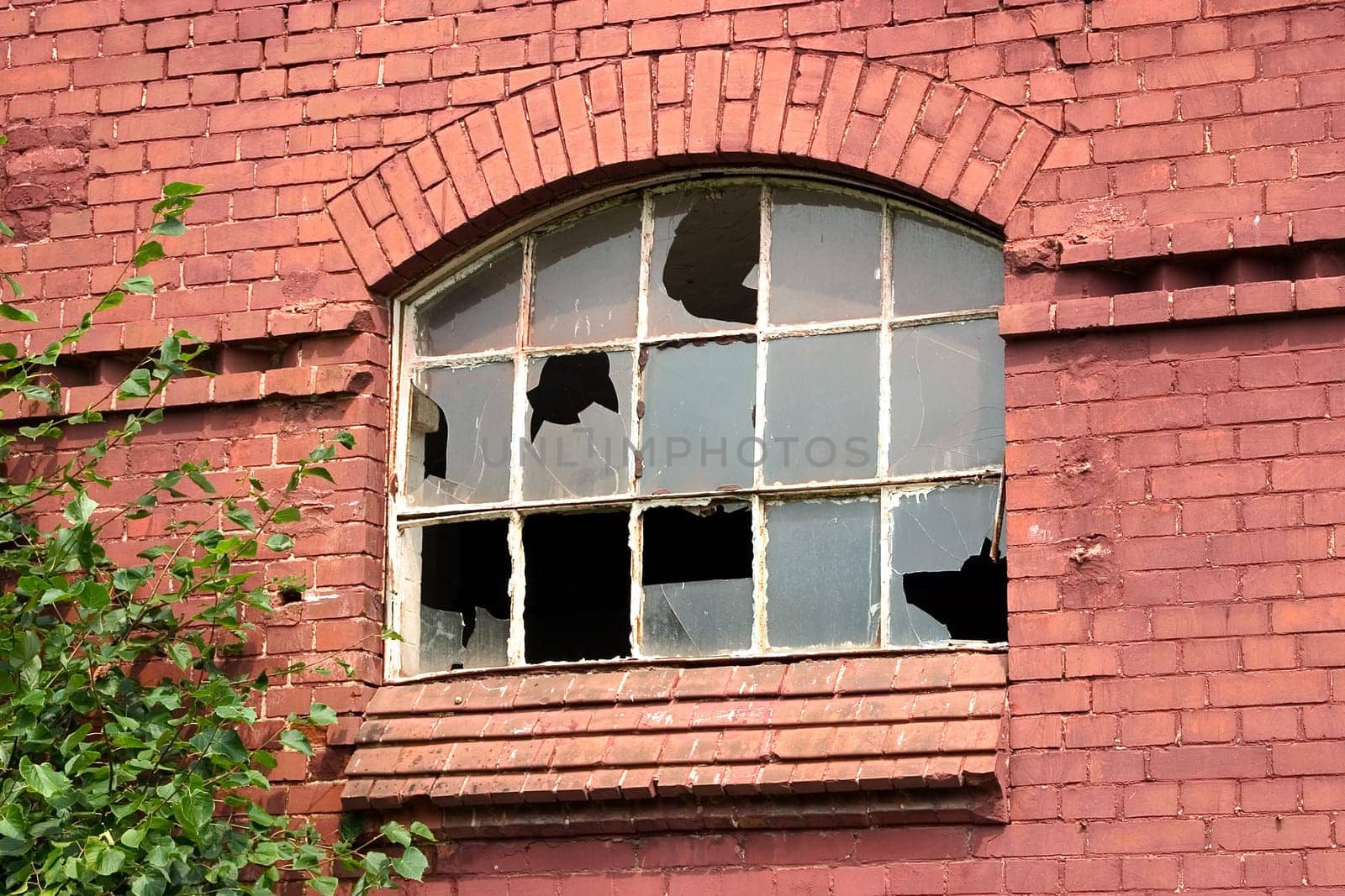 Window