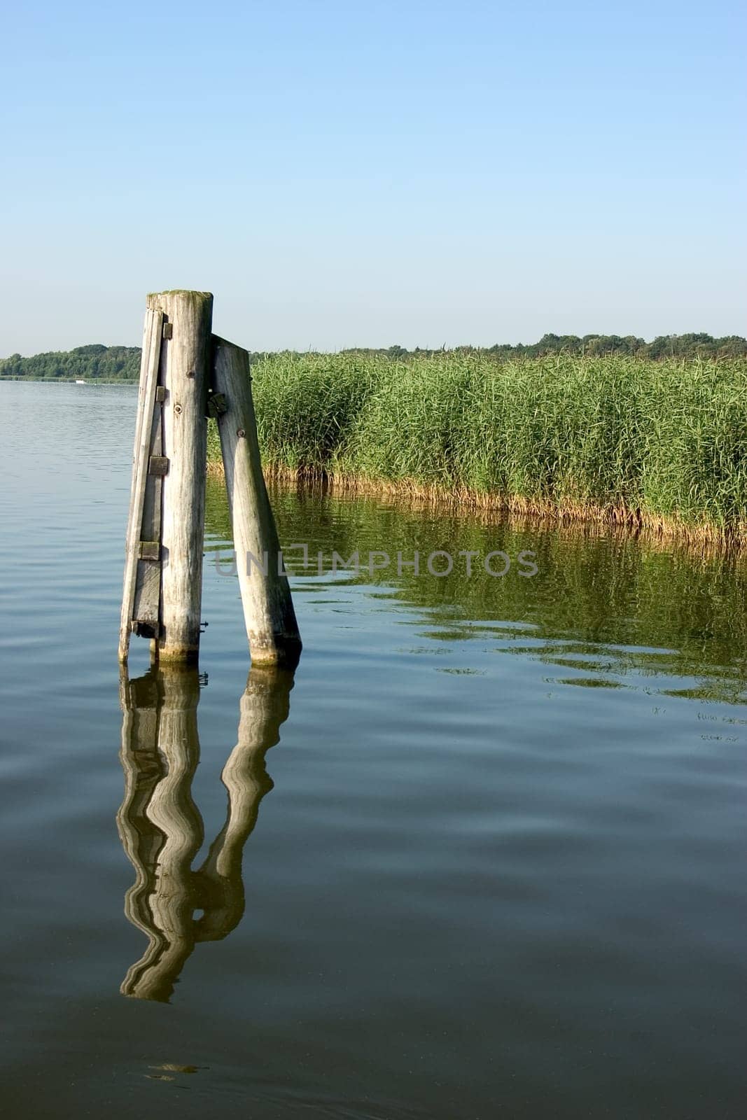 Lakeshore Schwilowsee