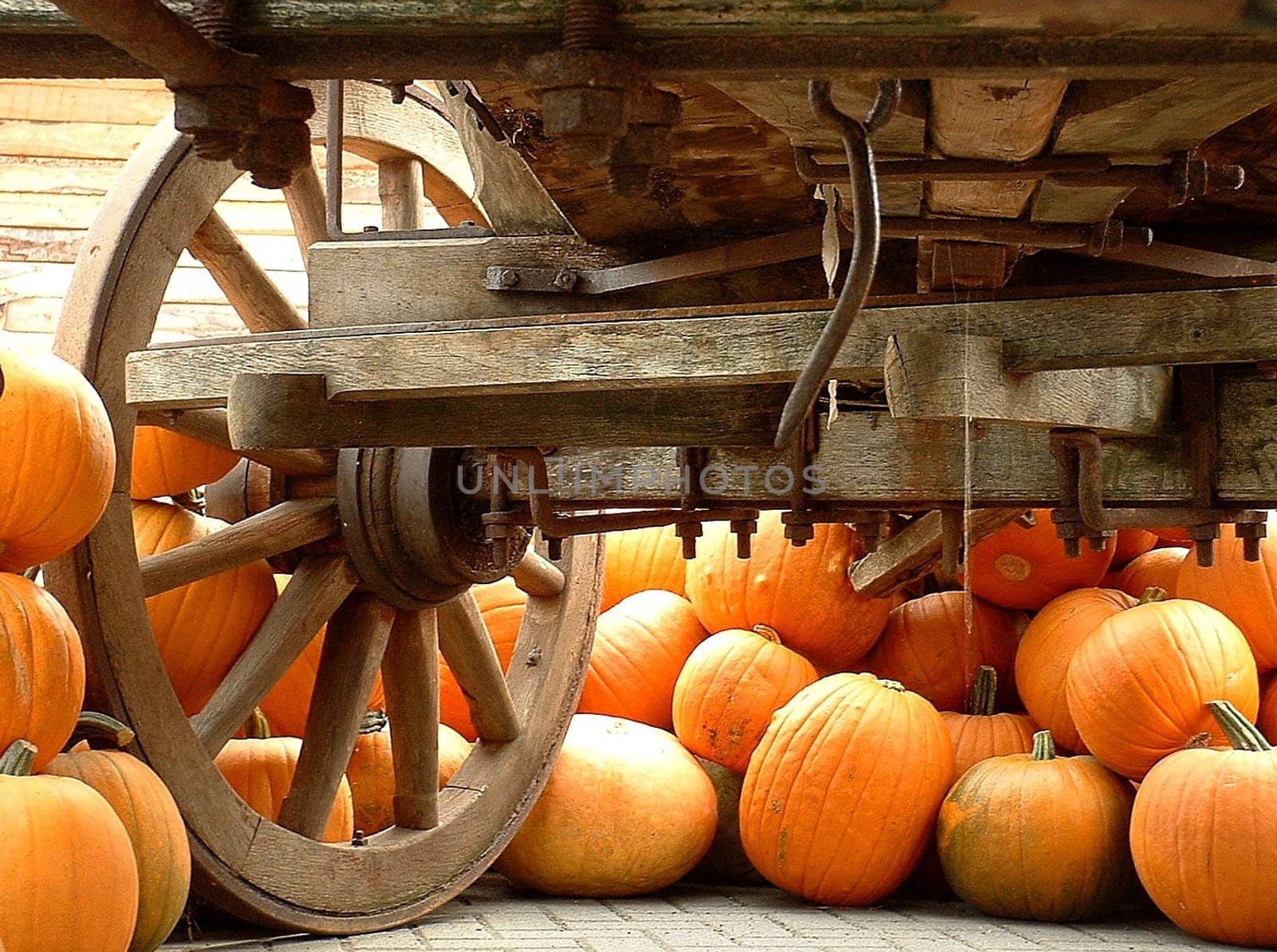 Pumpkin Cart