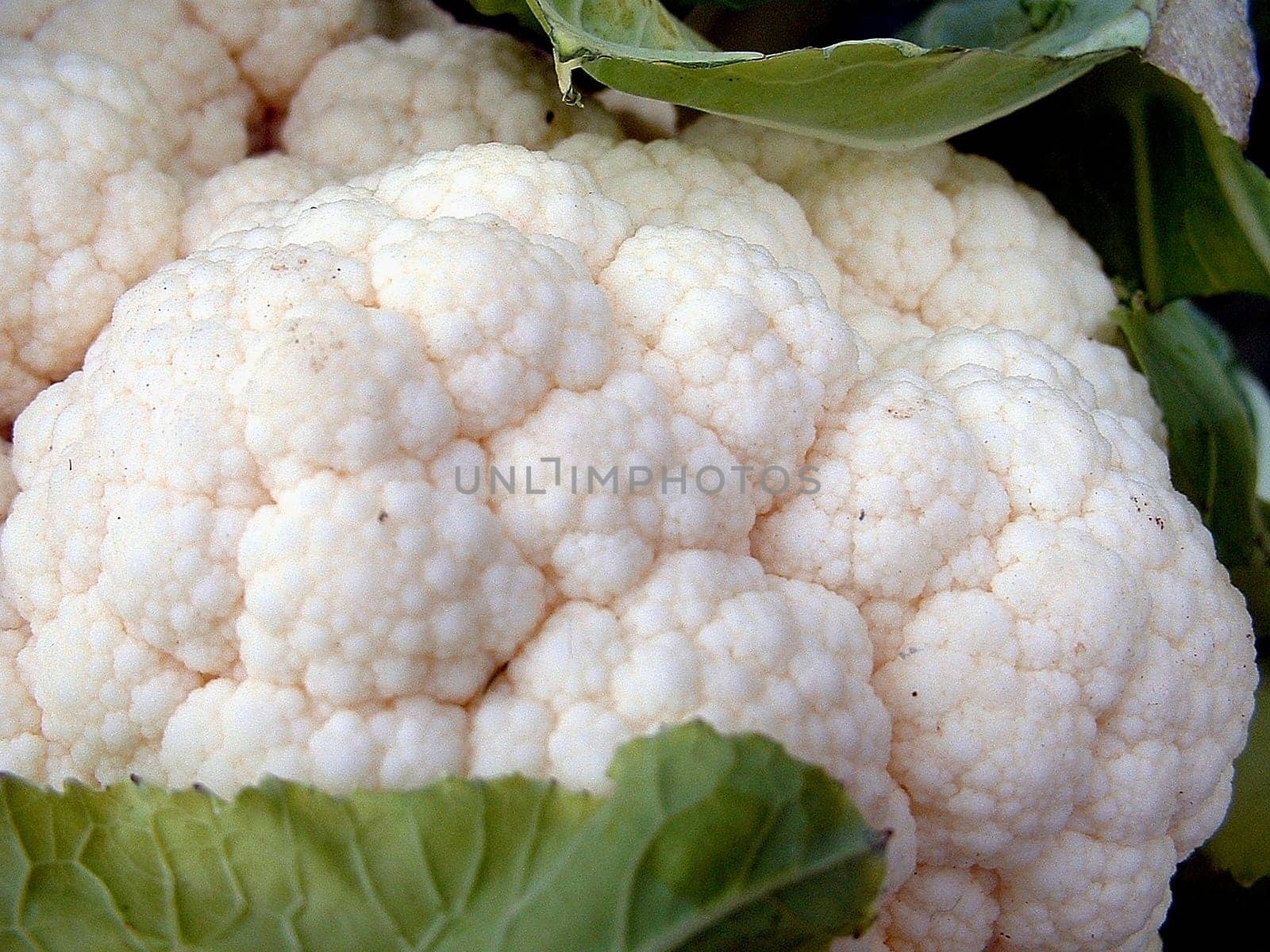 Cauliflower