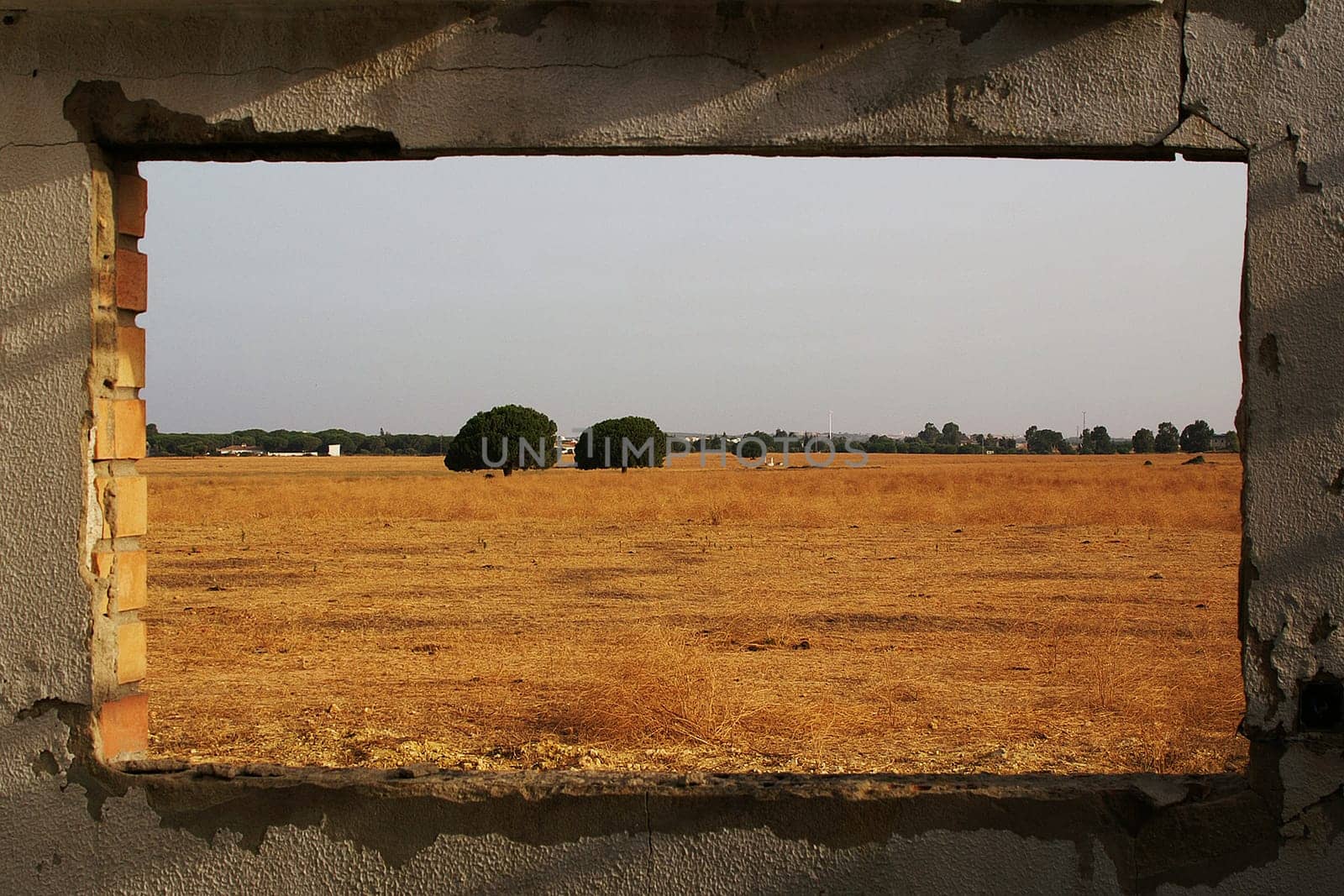 the perspective