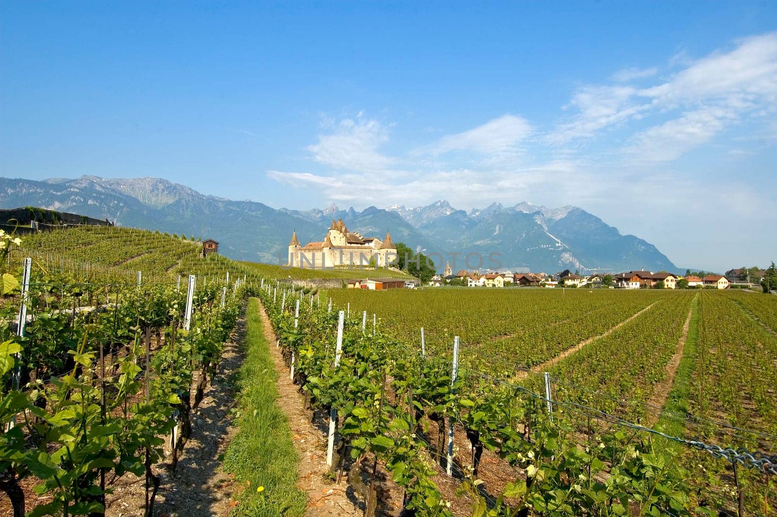 Weinbaumueseum Schloss Aigle,Vaud,Switzerland