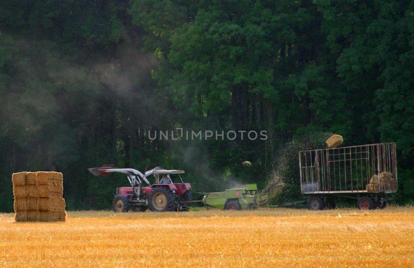 harvest