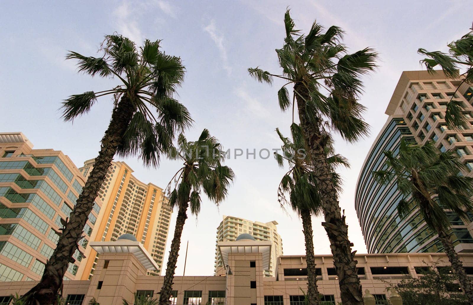 ... in Fort Lauderdale,Florida