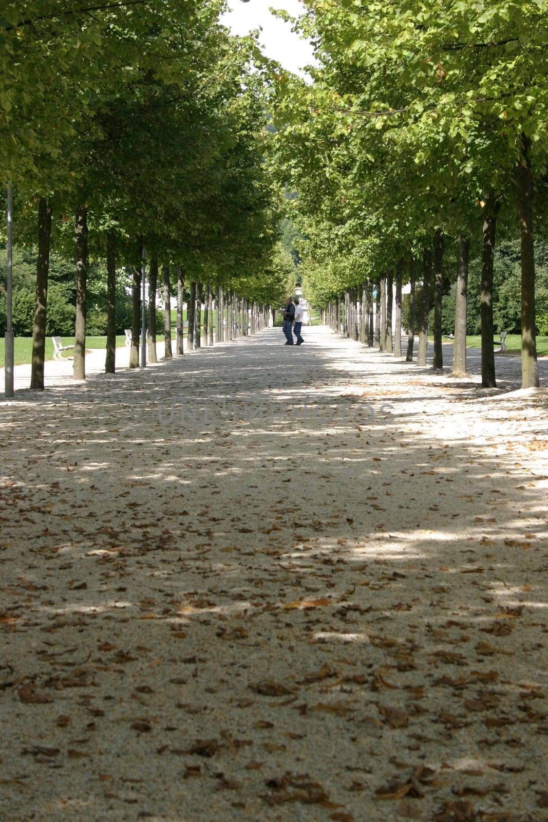 Kurpark-Allee