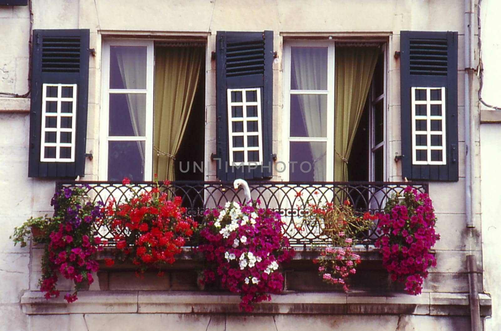 Windows in France