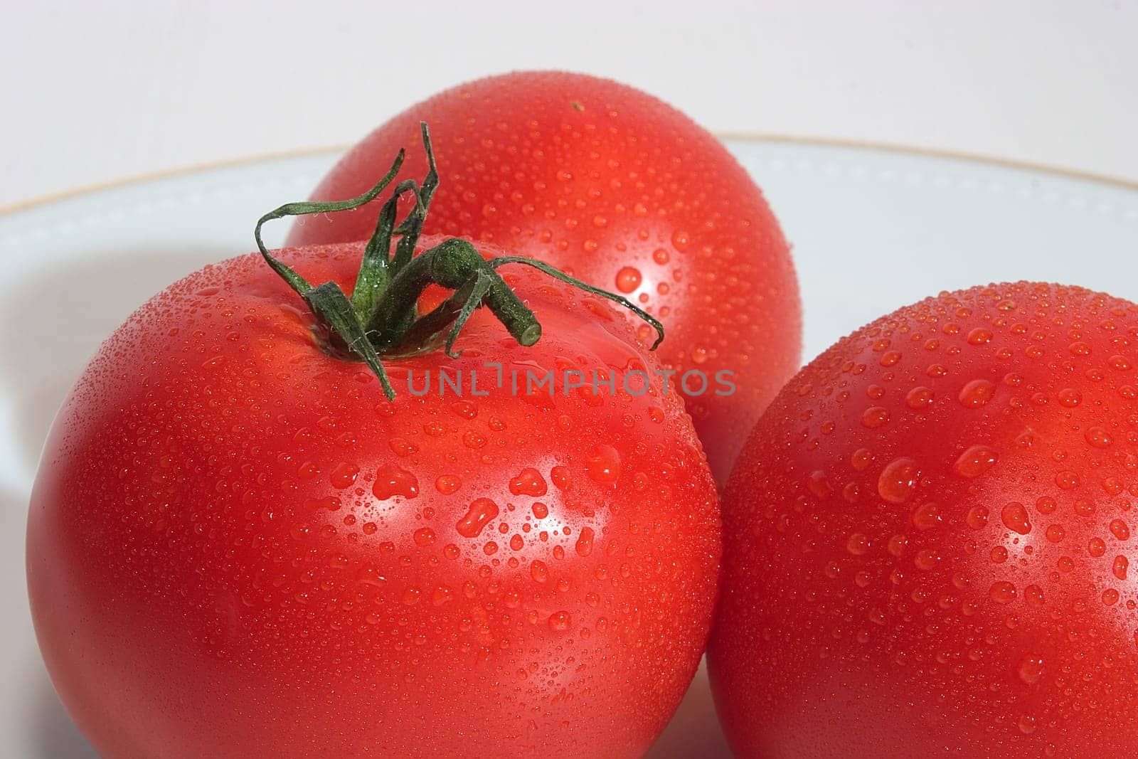 Tomatoes 02