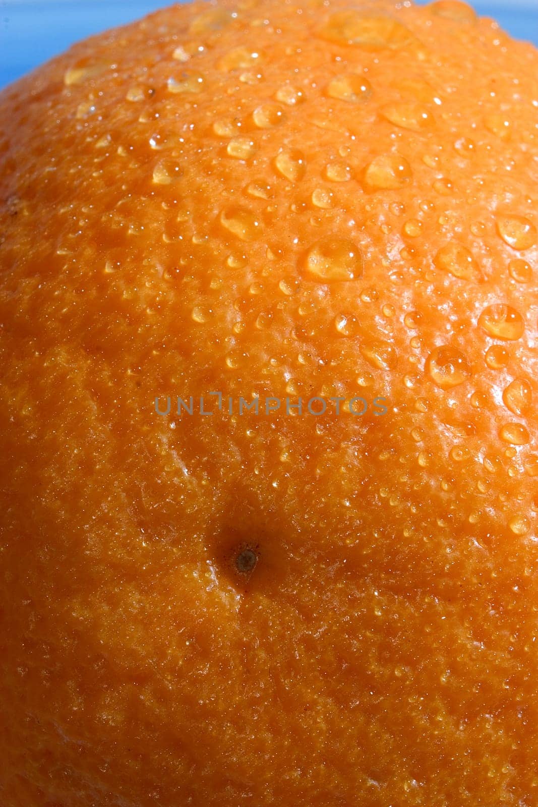 Orange 01