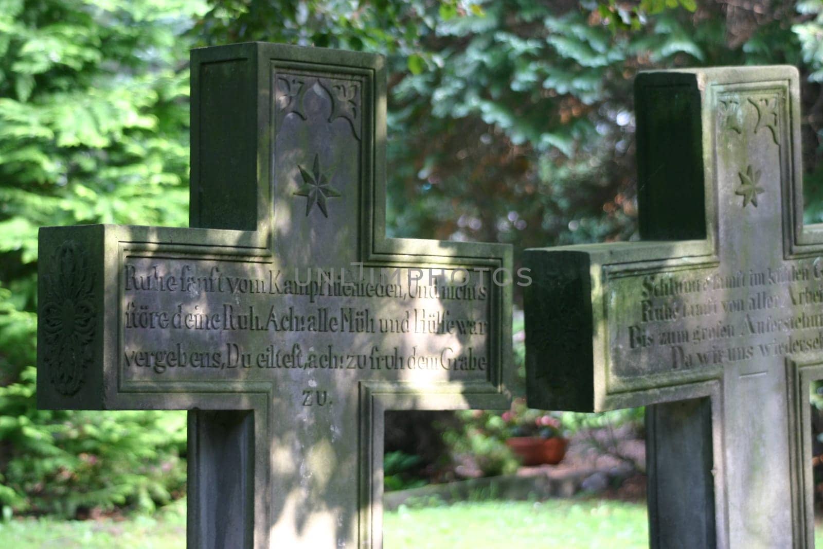 Grave crosses in the cemetery Hamelin (Lower Saxony)