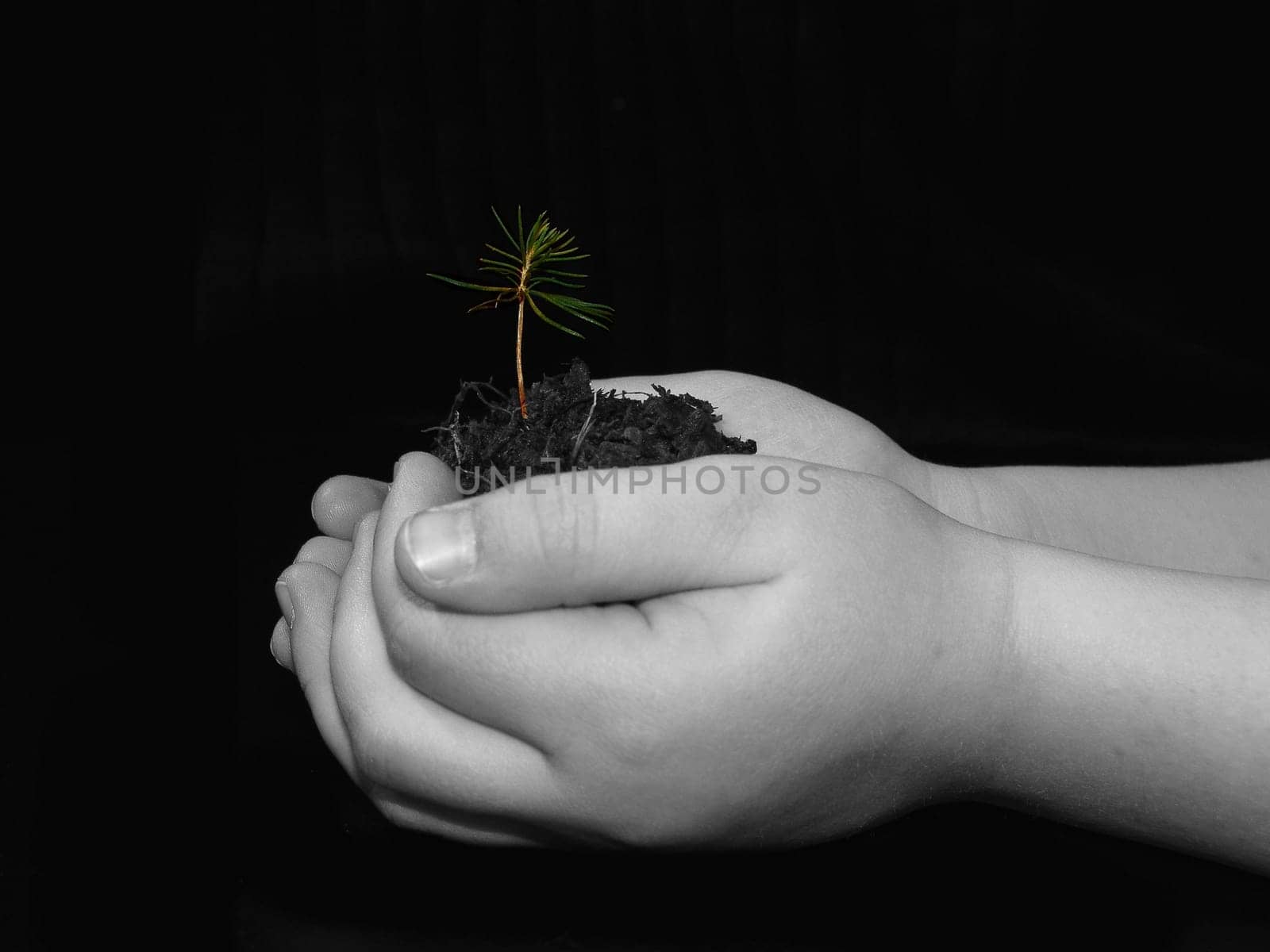... is in our hands.
