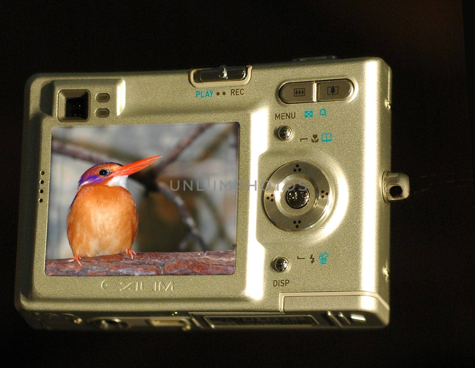 A greeting to all photographers who like to take digital photos