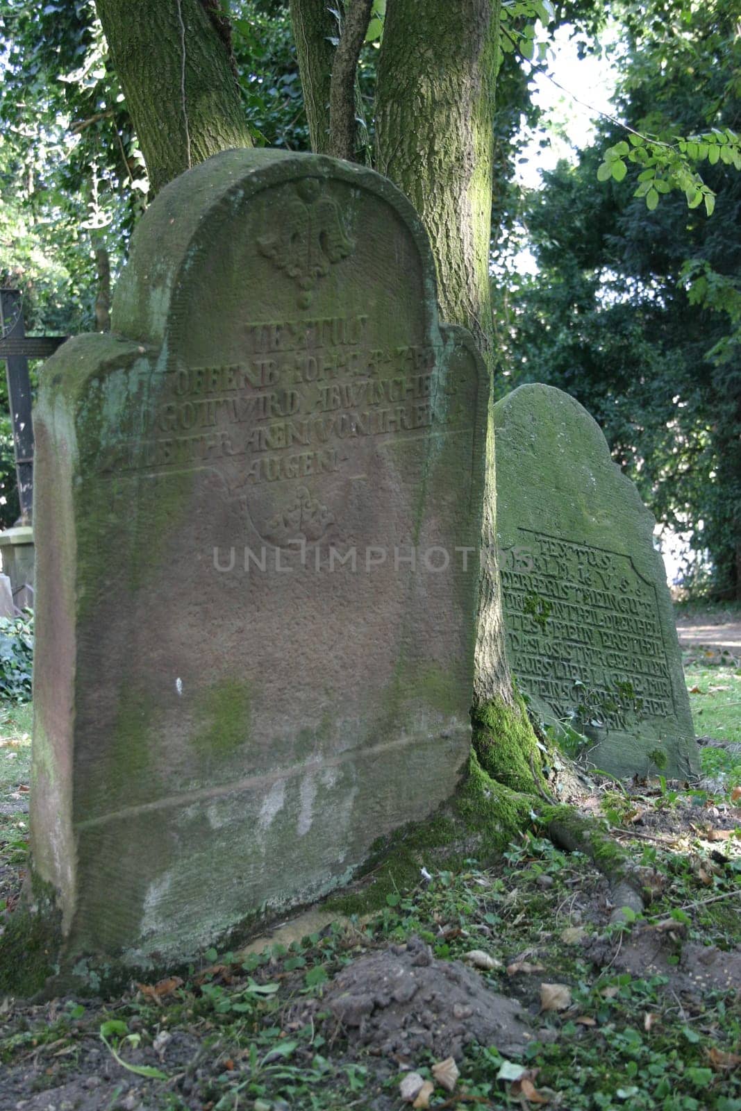 Decayed,forgotten?
